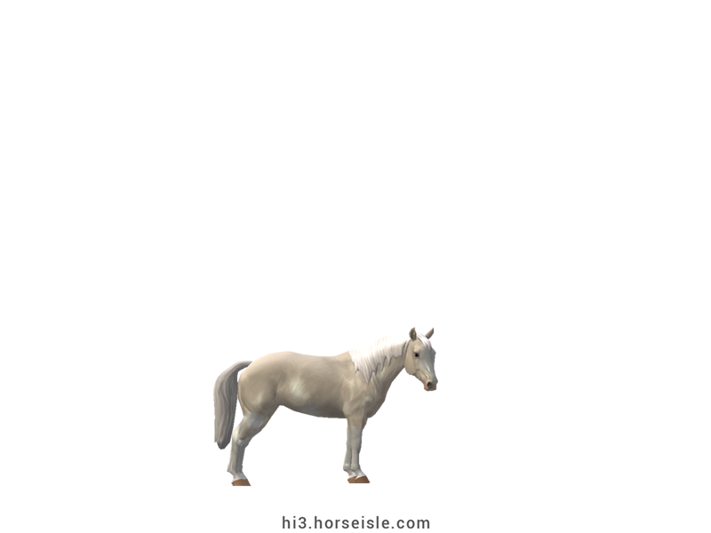 South African Miniature Horse Mealy Cremello Sabino Coat